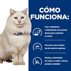 Hill's Prescription Diet Urinary Care c/d multicare stress pollo pienso para gatos, , large image number null